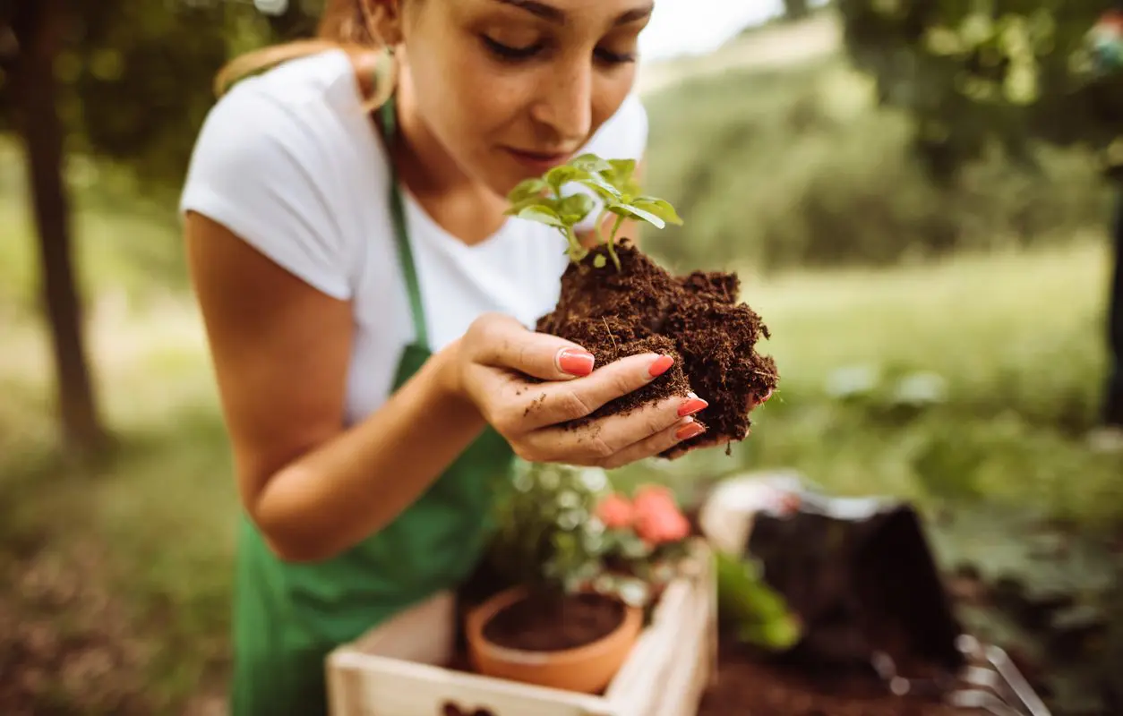 Gardening 101: Tips for Beginners